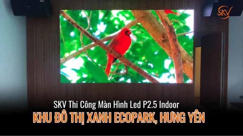 Màn LED P2.5 indoor tại khu đô thị cao cấp Ecopark